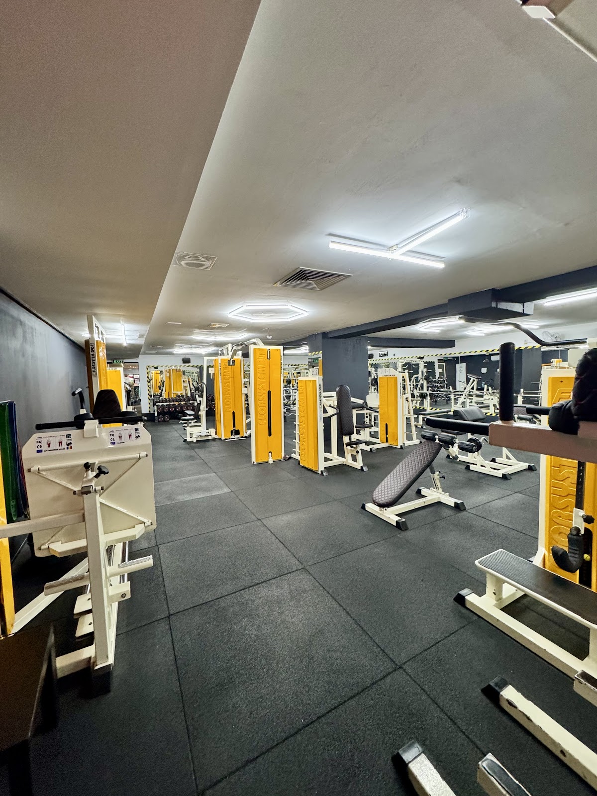 Fitness Orhideea