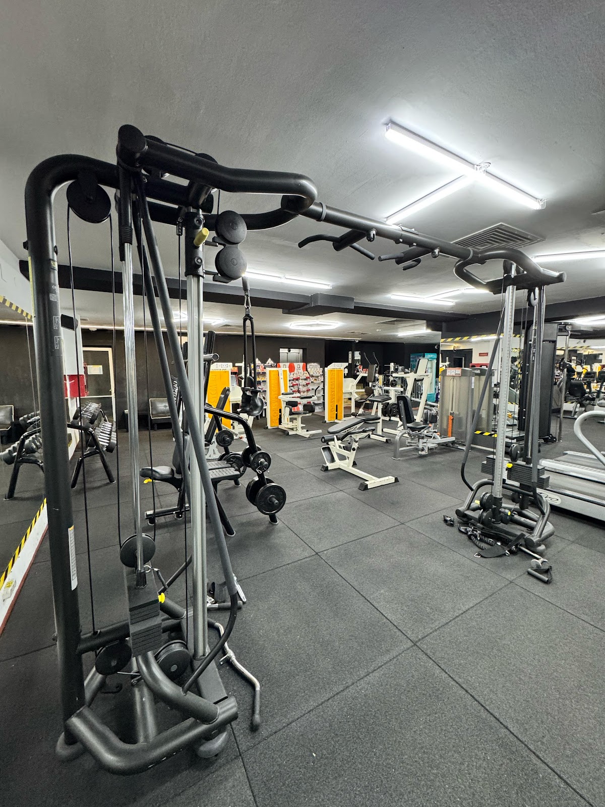 Fitness Orhideea